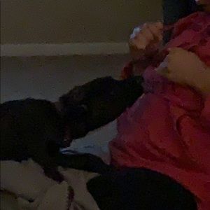 Meet your Posher, Donte